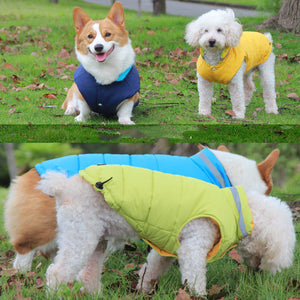 Why Your Pet Needs the Thickened Waterproof Reflective Pet Outdoor Jacket